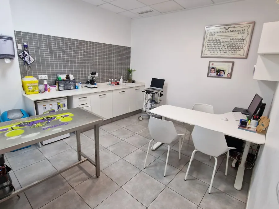 Sala de consulta de la Clínica Veterinària Laura Serra